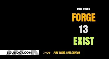 Sound Forge 13: Fact or Fiction? Exploring the Audio Editor's Existence