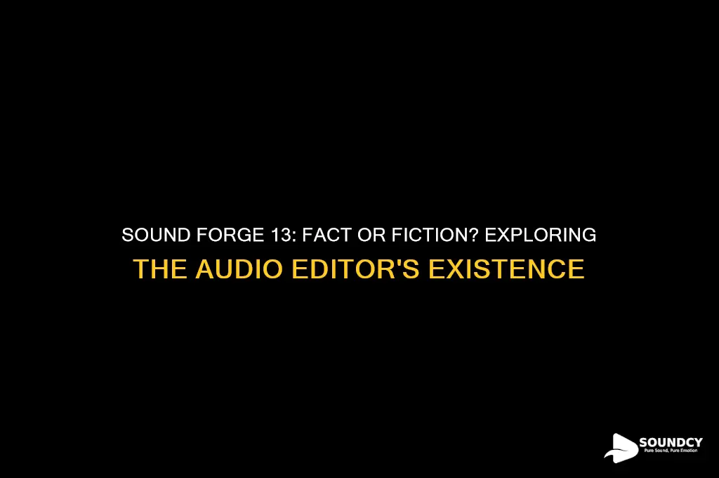 does sound forge 13 exist