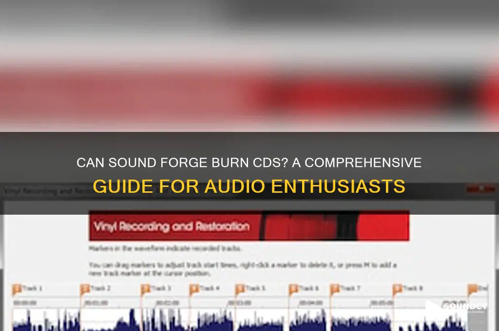 does sound forge burn cd