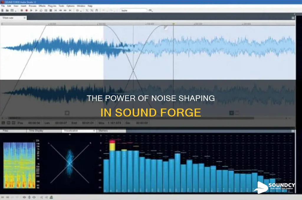does sound forge have noise shaping