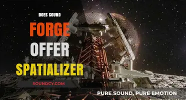 Does Sound Forge Include a Spatializer Feature for Audio Editing?