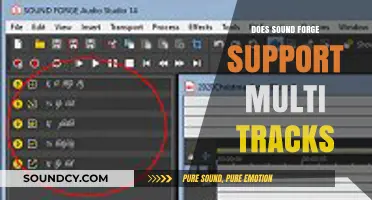 Sound Forge: Multi-Track Support and Its Capabilities
