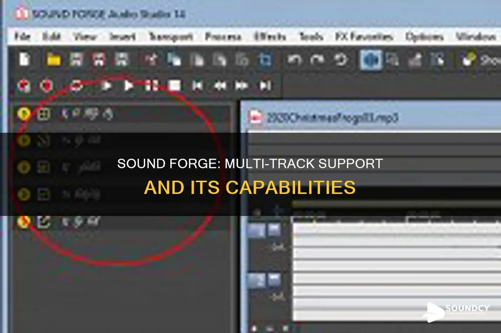 does sound forge support multi tracks