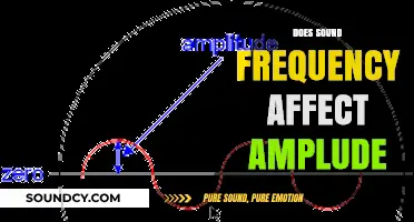 Exploring How Sound Frequency Influences Amplitude in Audio Signals