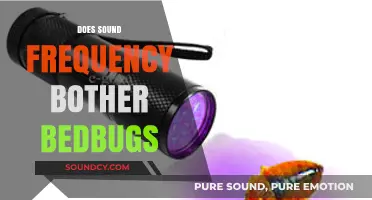 Can Sound Frequencies Repel Bedbugs? Exploring the Science Behind the Myth