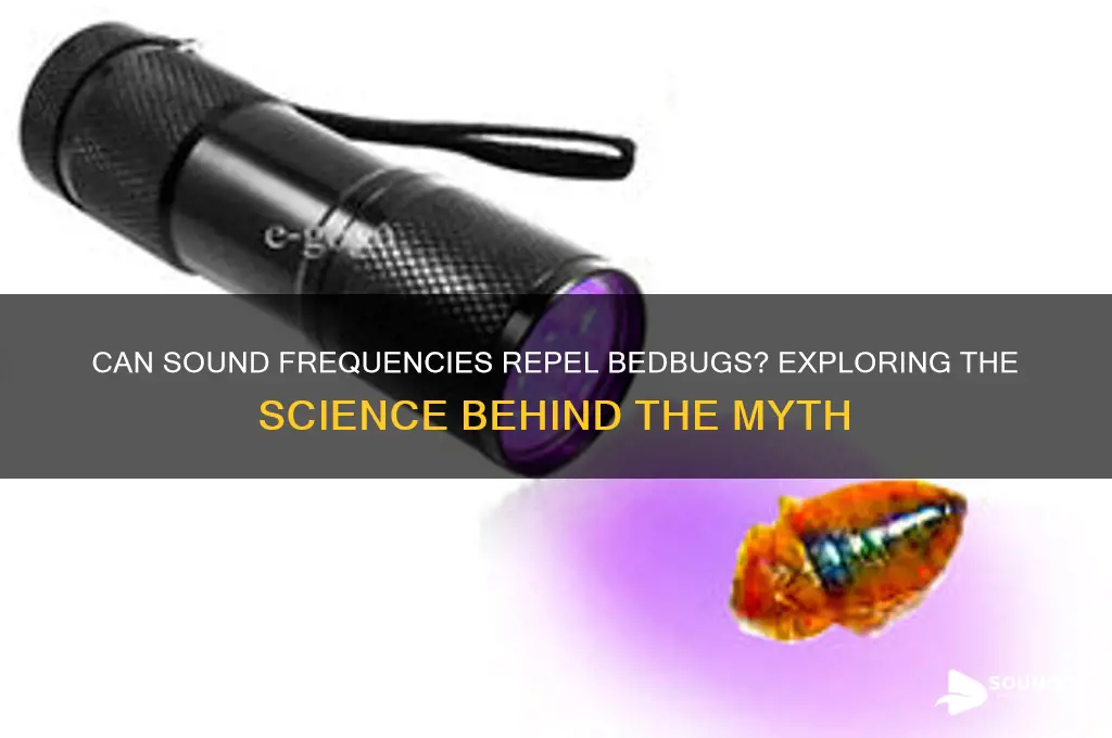does sound frequency bother bedbugs