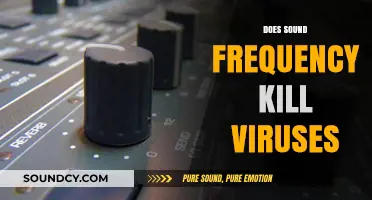 Can Sound Frequency Eliminate Viruses? Exploring the Science Behind the Claim