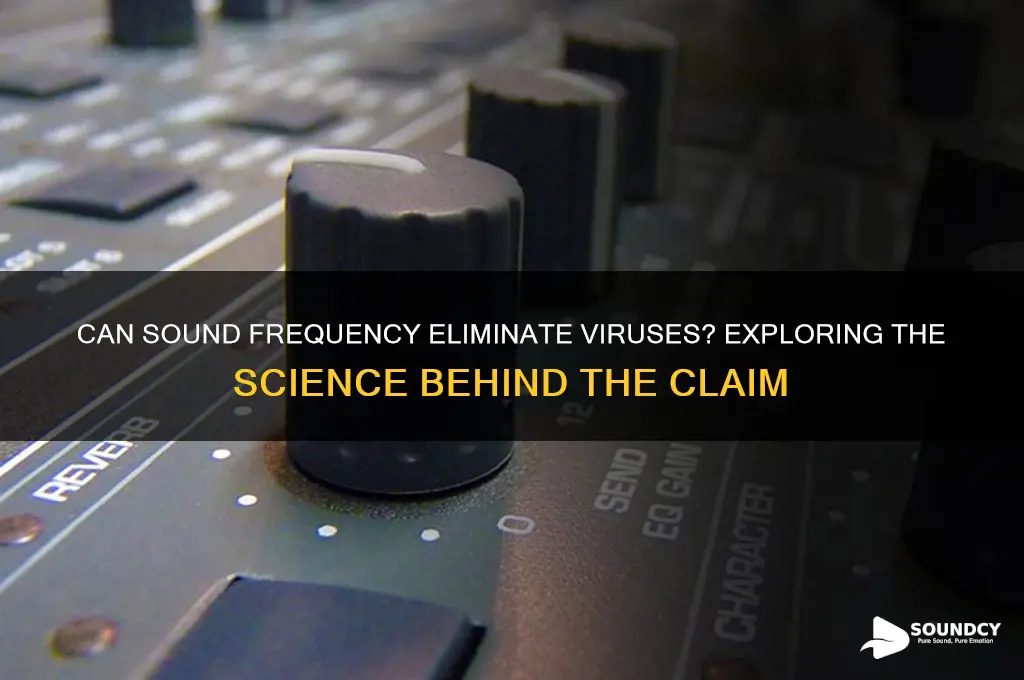 does sound frequency kill viruses