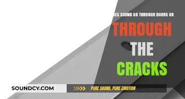 Sound's Sneaky Path: Doors vs. Cracks – Which Wins?