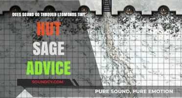 Sound in Leomund's Tiny Hut: Sage Advice for D&D Players