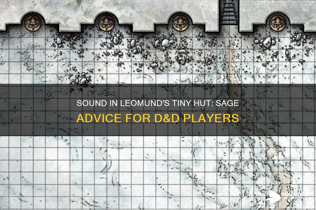 does sound go through leomonds tiny hut sage advice