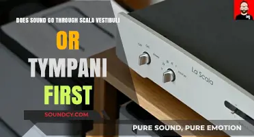 Sound's Path: Scala Vestibuli or Tympani First?