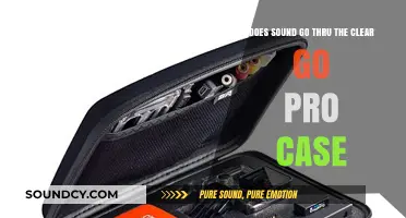 Does Sound Penetrate the Clear GoPro Case? A Detailed Analysis