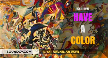 Exploring Synesthesia: Can Sound Truly Have a Color?