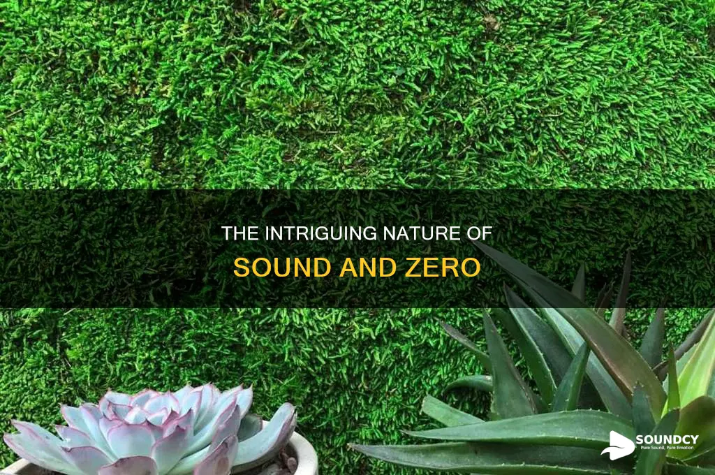 does sound have a true zero