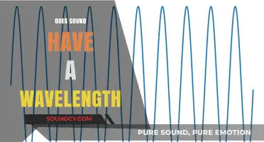 Exploring Sound Waves: Understanding Wavelengths and Their Impact on Perception