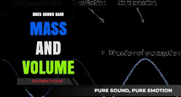 Sound's Physical Nature: Mass and Volume Explored