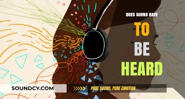 Sound's Existence: Beyond What We Hear