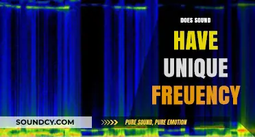 Exploring Sound: Do Unique Frequencies Define Its Character?