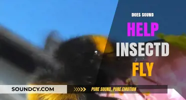 How Sound Influences Insect Flight: Unraveling the Acoustic Mystery