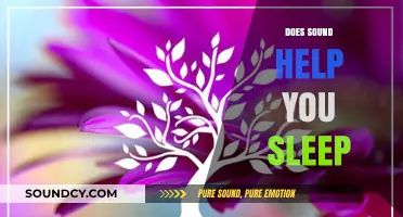 Sound Sleep: How Noise and Music Influence Your Restful Nights