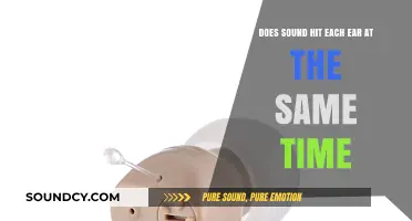Does Sound Reach Both Ears Simultaneously? Exploring Auditory Perception