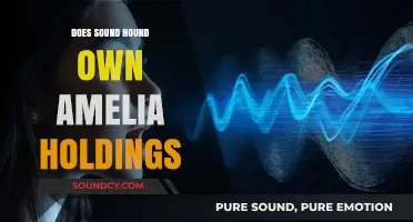 SoundHound's Amelia Holdings Acquisition: What's the Deal?