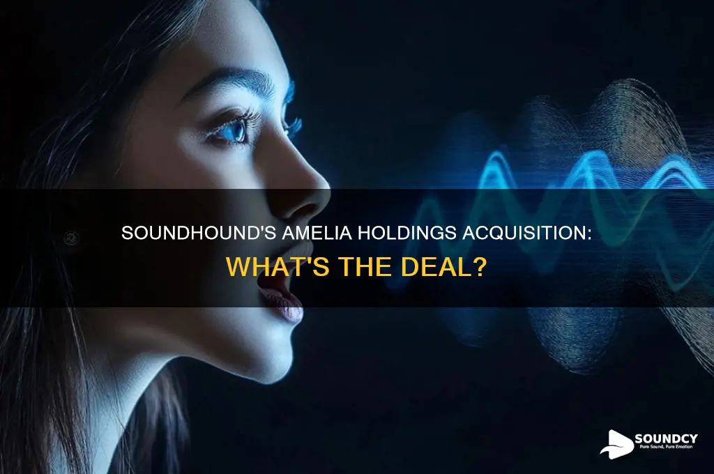 does sound hound own amelia holdings