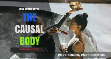 Sound's Impact: The Causal Body Connection