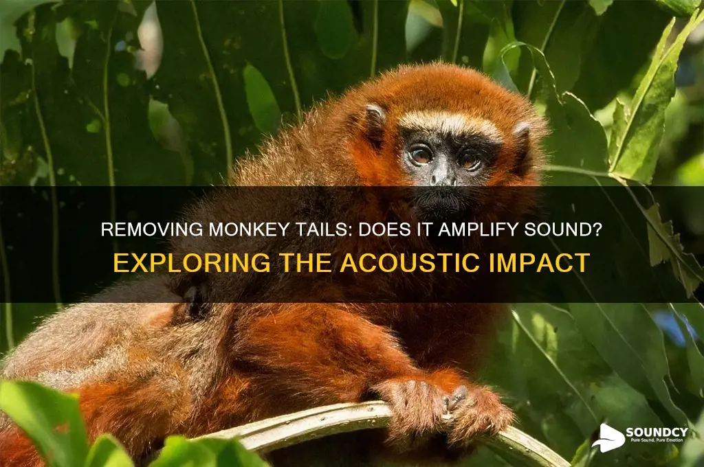 does sound increase if i remove the monkey tails