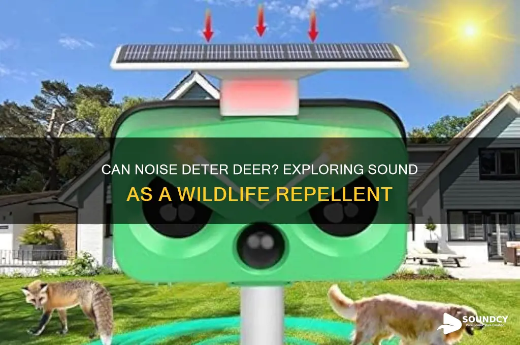 does sound keep deer away