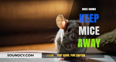 Can Loud Noises Deter Mice? Exploring Sound as a Rodent Repellent