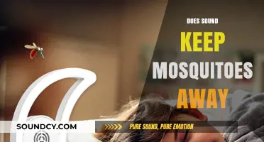 Can Sound Repel Mosquitoes? Exploring the Buzz Behind the Myth