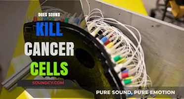 Can Sound Waves Destroy Cancer Cells? Exploring the Science Behind It