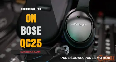 Bose QC25: Sound Leak or Not?