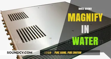 Does Sound Magnify in Water? Exploring Underwater Acoustics and Amplification