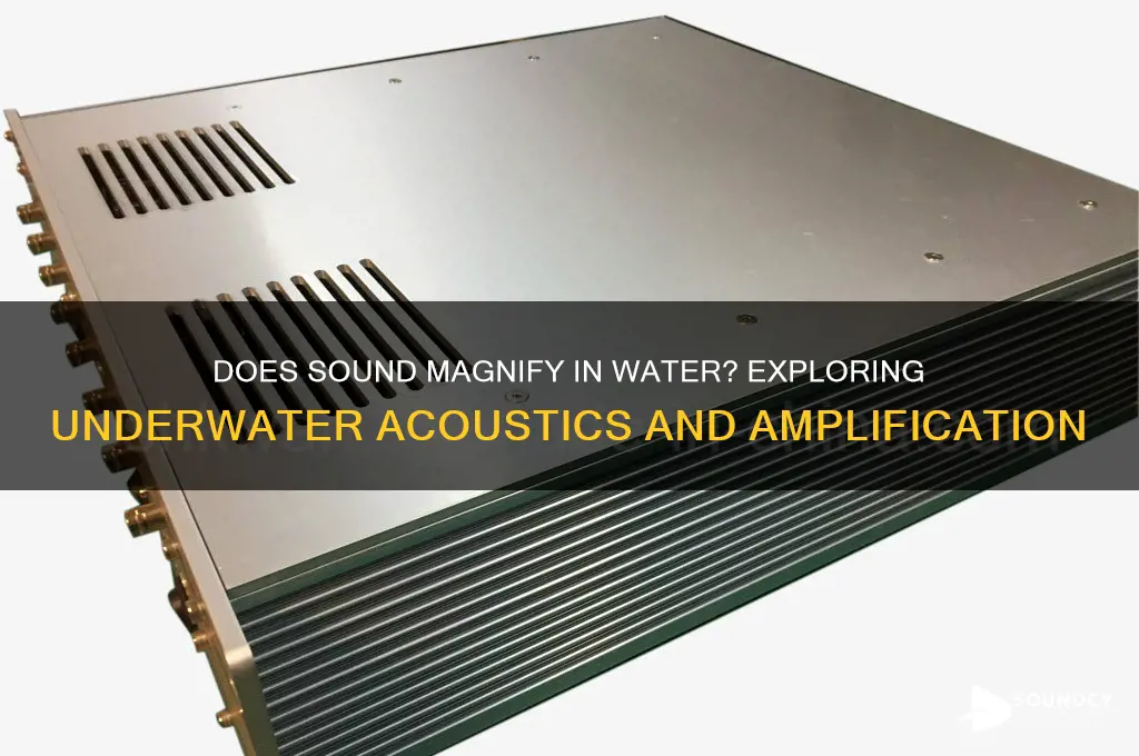 does sound magnify in water