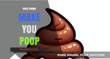 Does Sound Trigger Pooping? Exploring the Surprising Gut-Noise Connection