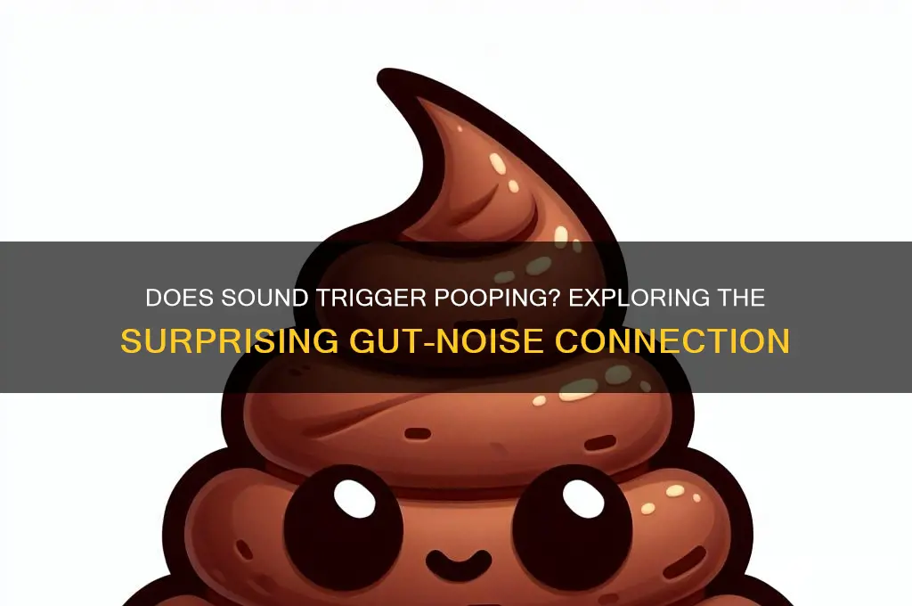 does sound make you poop