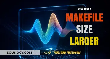 Does Sound Increase File Size? Exploring Audio's Impact on Storage