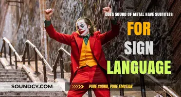 Sound of Metal: Sign Language Subtitles and Accessibility Explored