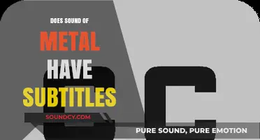 Sound of Metal: Subtitles Available?