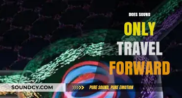 Sound's Directional Mystery: Does It Only Travel Forward?