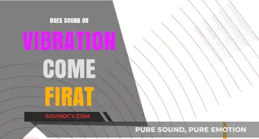 Sound and Vibration: Which Comes First?
