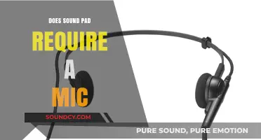 Sound Pad: Mic or No Mic?