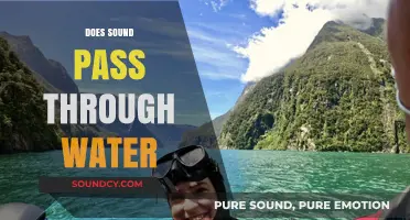 Does Sound Travel Through Water? Exploring Aquatic Acoustics and Science