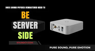 Sound Physics Remastered: Server-Side Necessity or Client-Side Sufficiency?