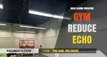 Soundproofing Gyms: Reducing Echo and Noise