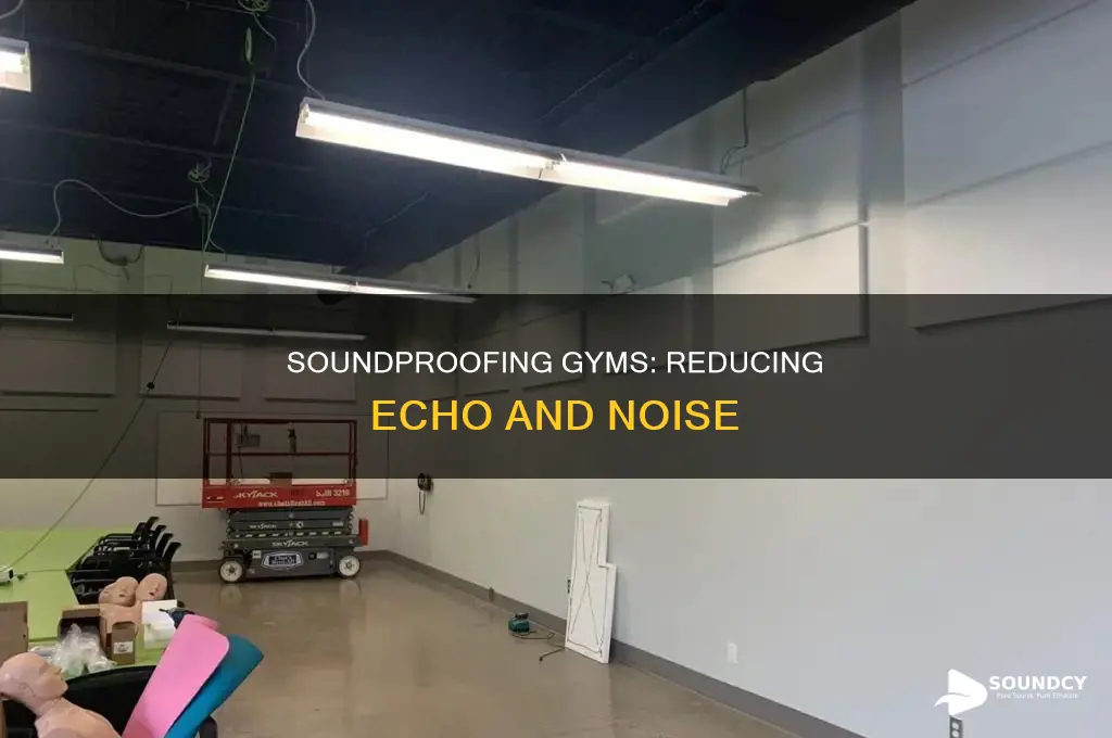 does sound proofing gym reduce echo