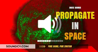 Does Sound Travel in the Vacuum of Space? Exploring the Science